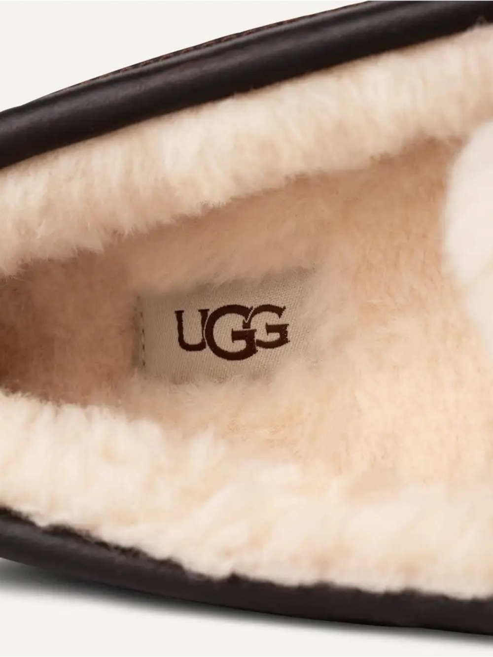 UGG | Ascot Slippers - Picture 4 of 7